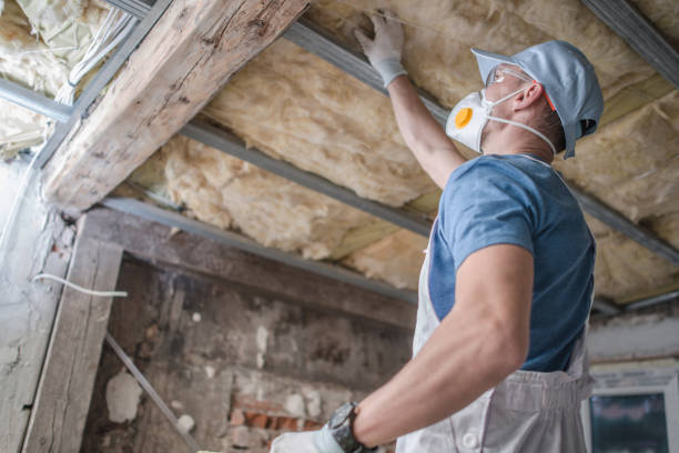 Best Wall Insulation Contractor  in Charlotte, TX