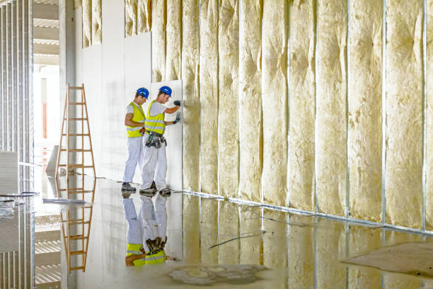 Best Insulation for Commercial Buildings  in Charlotte, TX